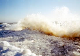 Ice waves on Lake Michigan